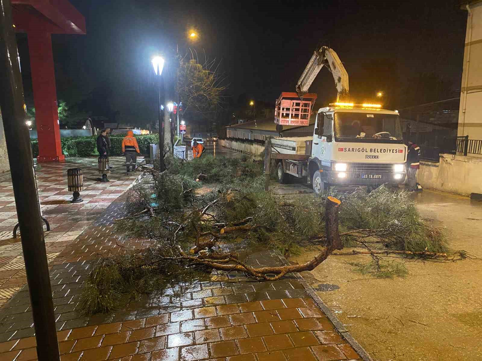 yarim asirlik cam agaci firtinaya dayanamadi 5 SlGRO9Ou
