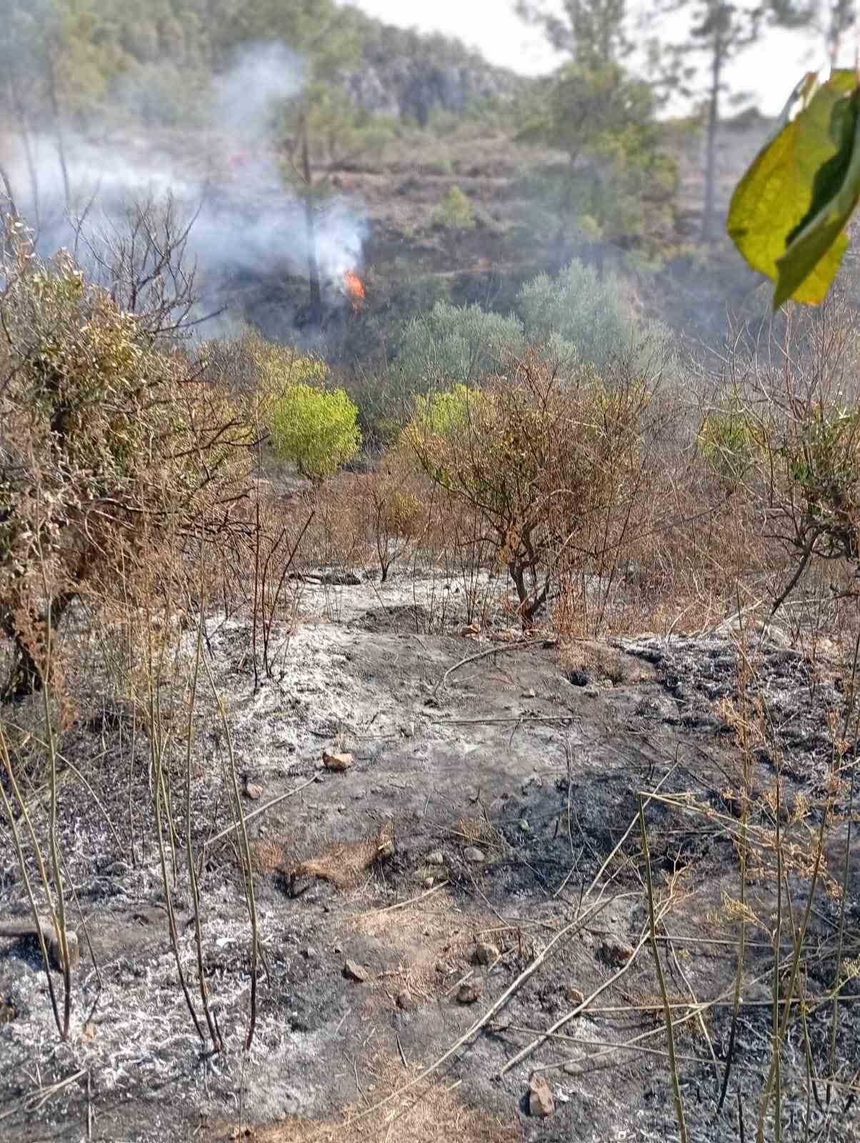 Yaşlı adam, bahçesini temizlerken yangında hayatını kaybetti 5 yasli adam bahcesini temizlerken yanginda hayatini kaybetti 1 Tp1kL79V