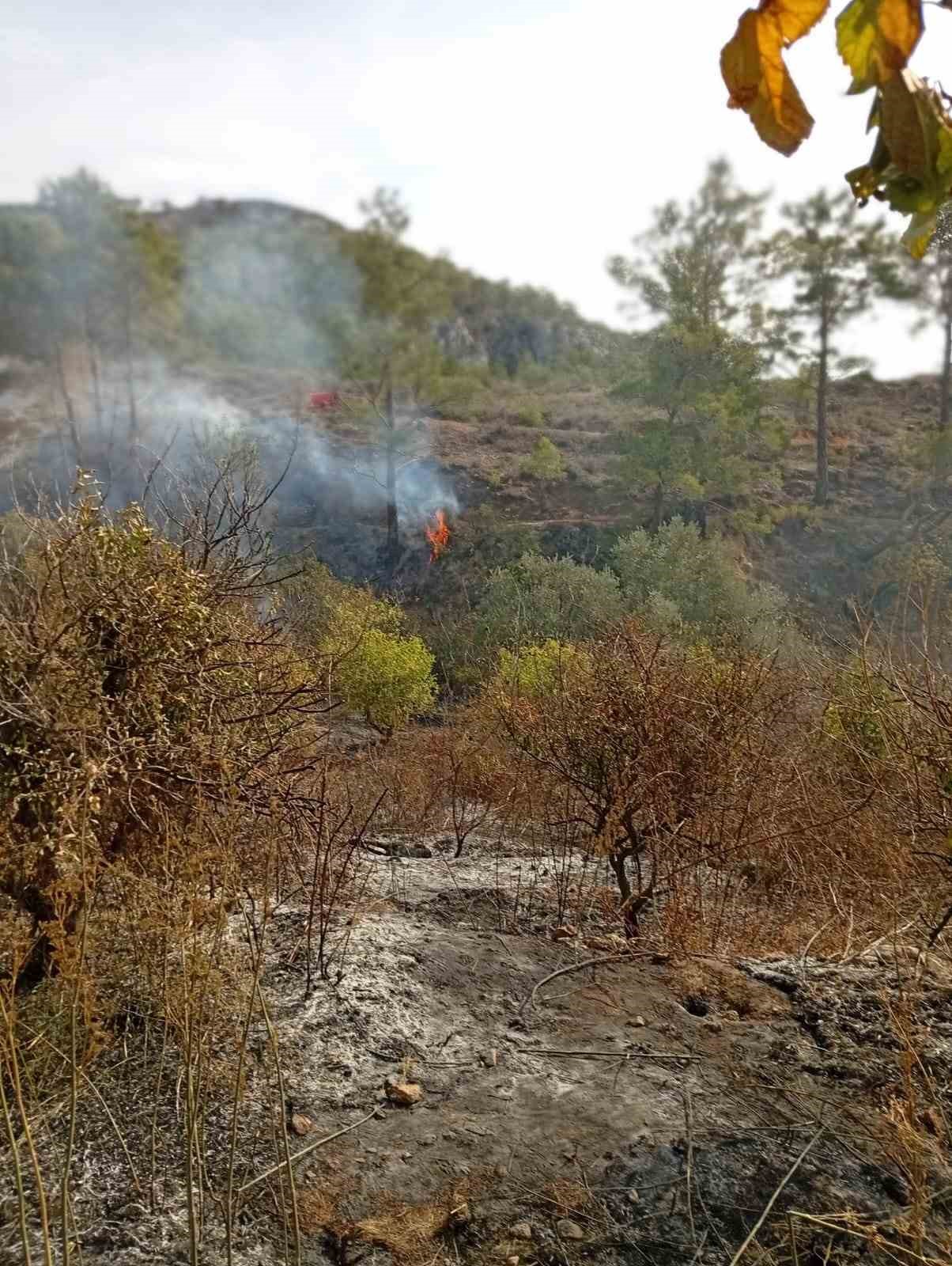 Yaşlı adam, bahçesini temizlerken yangında hayatını kaybetti 6 yasli adam bahcesini temizlerken yanginda hayatini kaybetti 2 9iJciekk