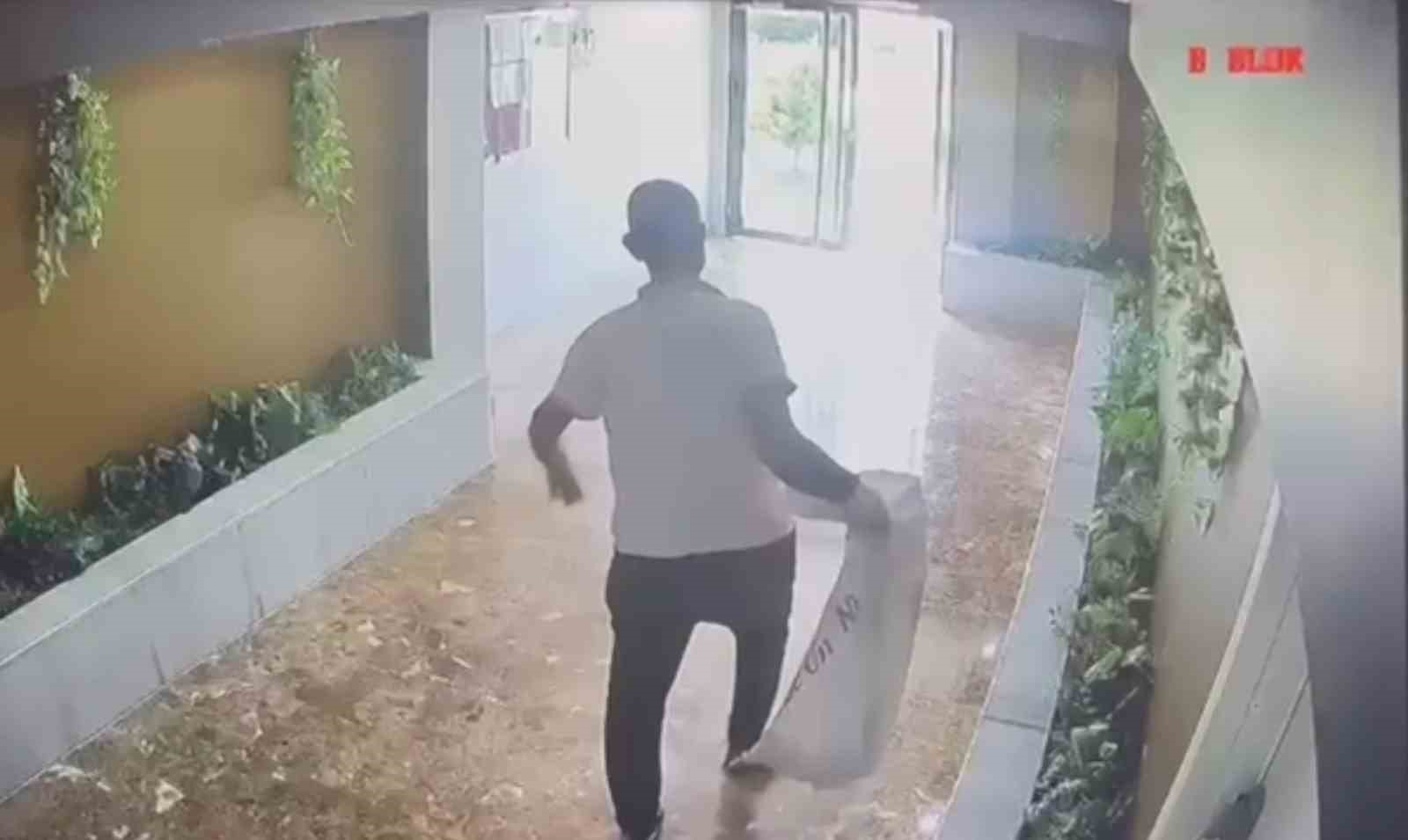 yavru kedileri kaybolan kadin guvenlik kameralarini izleyince gozlerine inanamadi 0 wnfe4Wf1