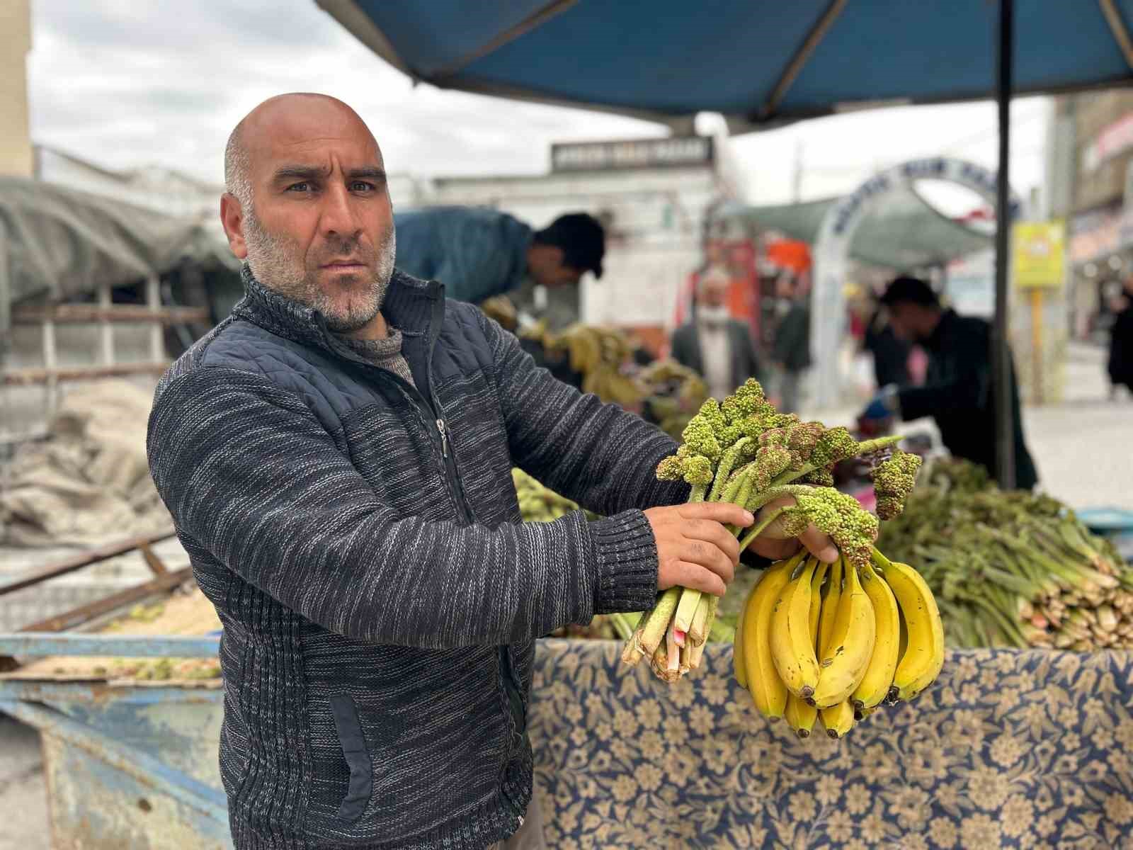 yayla muzu uckun tezgaha cikti 3 Dj3BZB3H