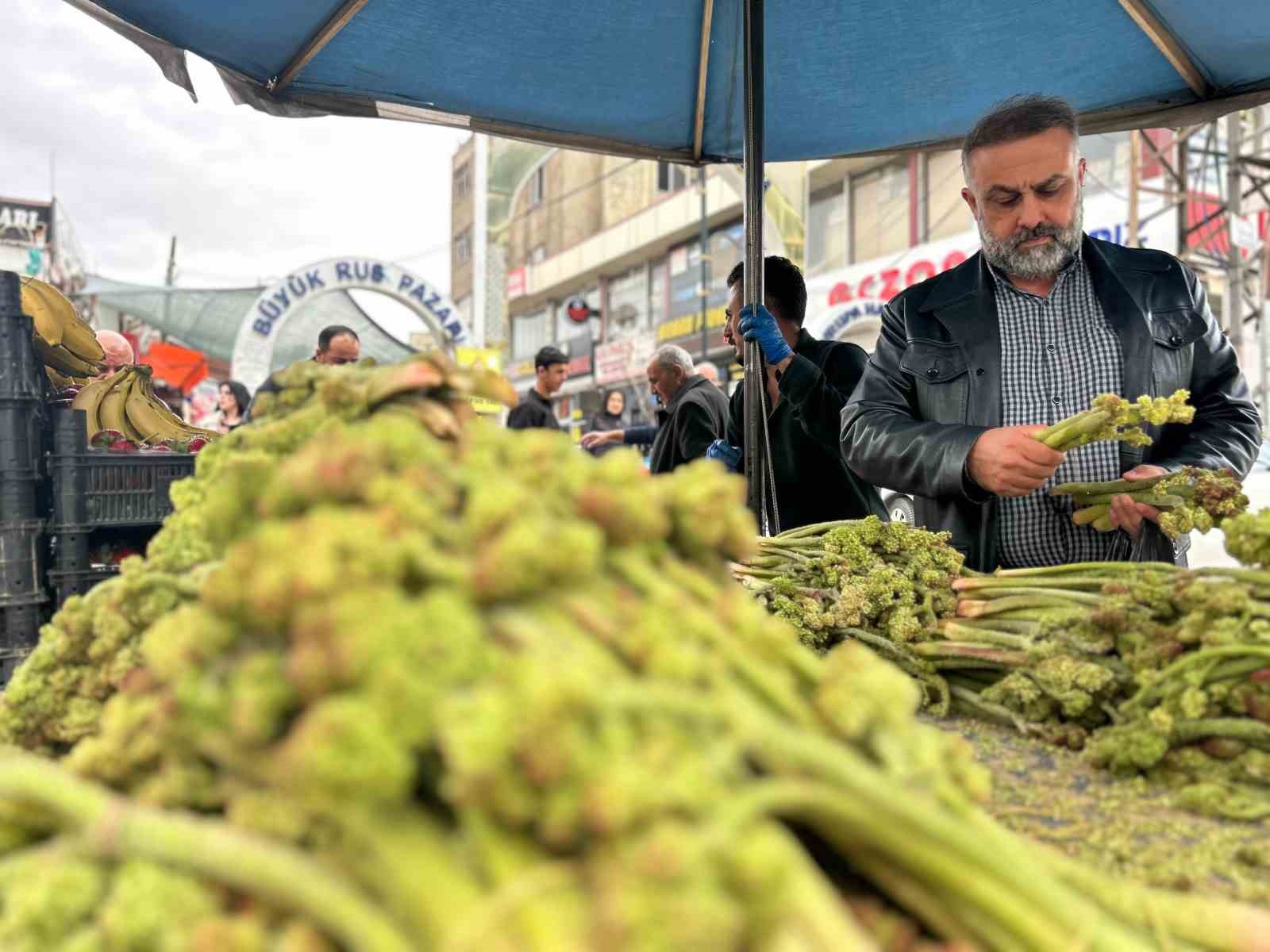 yayla muzu uckun tezgaha cikti 6 dbshYnqK