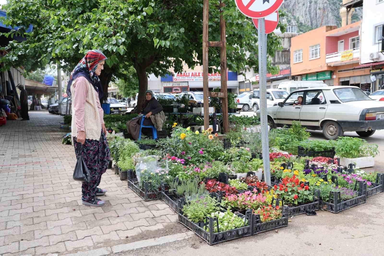 yayla sezonu oncesi ata tohumu fidelerine yogun talep 0 EpDRYbpg