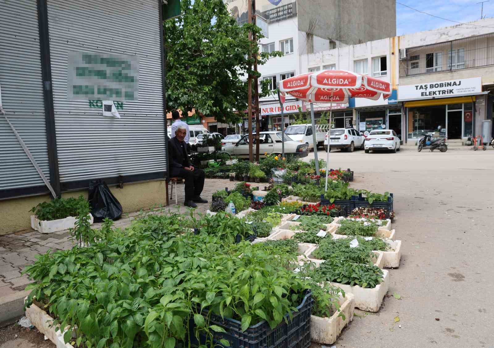 yayla sezonu oncesi ata tohumu fidelerine yogun talep 3 g5zOH65z