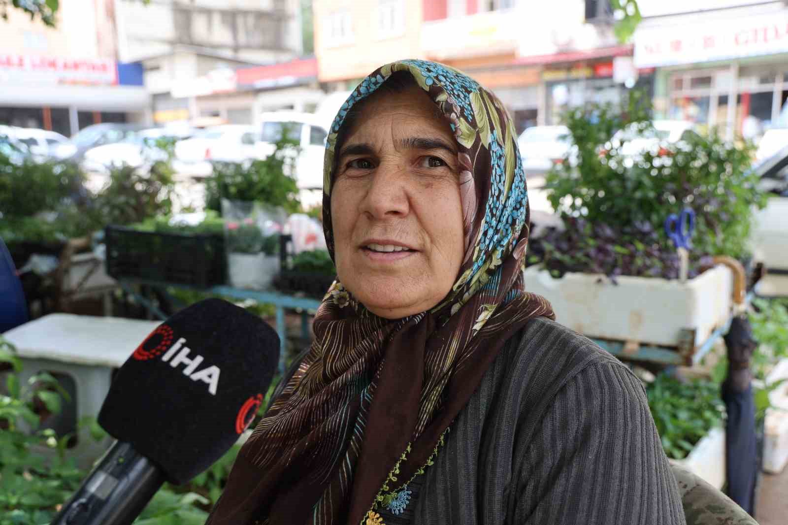 yayla sezonu oncesi ata tohumu fidelerine yogun talep 4 H7ZPvr6T