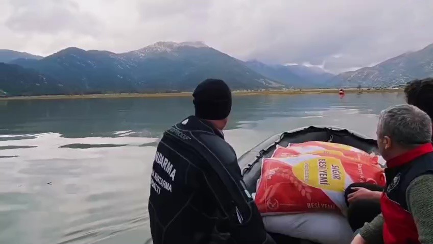 yaylada mahsur kalan coban ve yuzlerce hayvana botla yem ile erzak tasidilar 2 pEpZb9GG