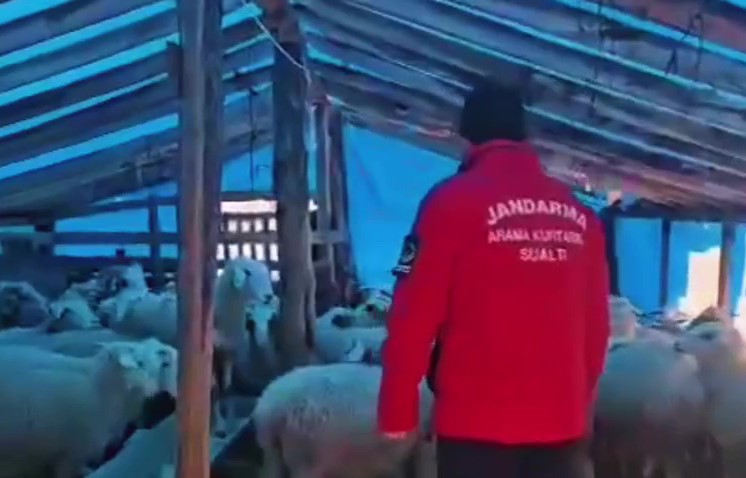 yaylada mahsur kalan coban ve yuzlerce hayvana botla yem ile erzak tasidilar 5