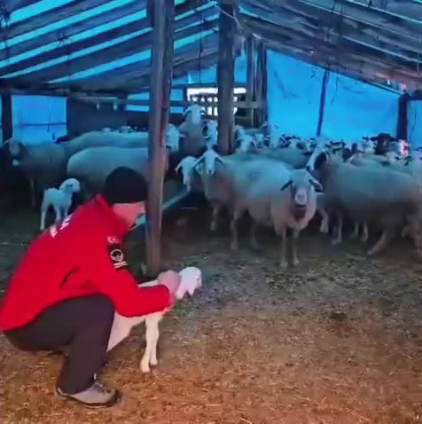 yaylada mahsur kalan coban ve yuzlerce hayvana botla yem ile erzak tasidilar 7 Gi5ZtiAy