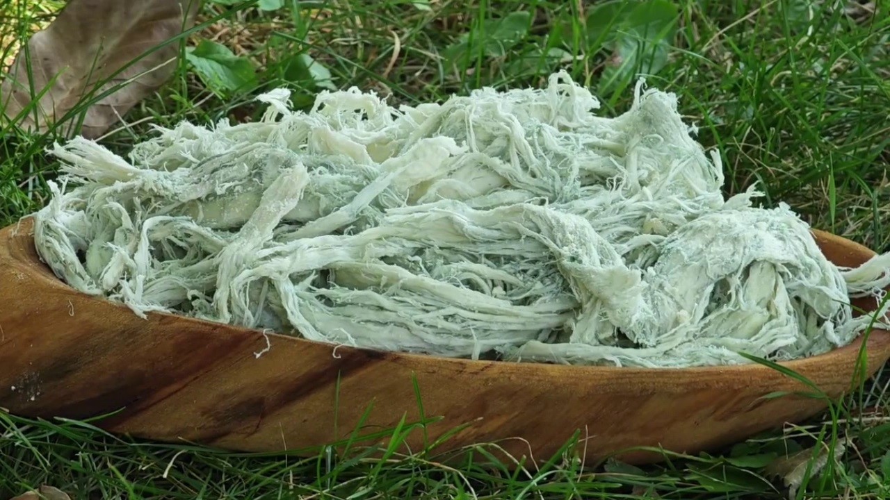 yayladan sofraya dogal antibiyotik erzurumun gogermis peyniri 0 VqzKspTi