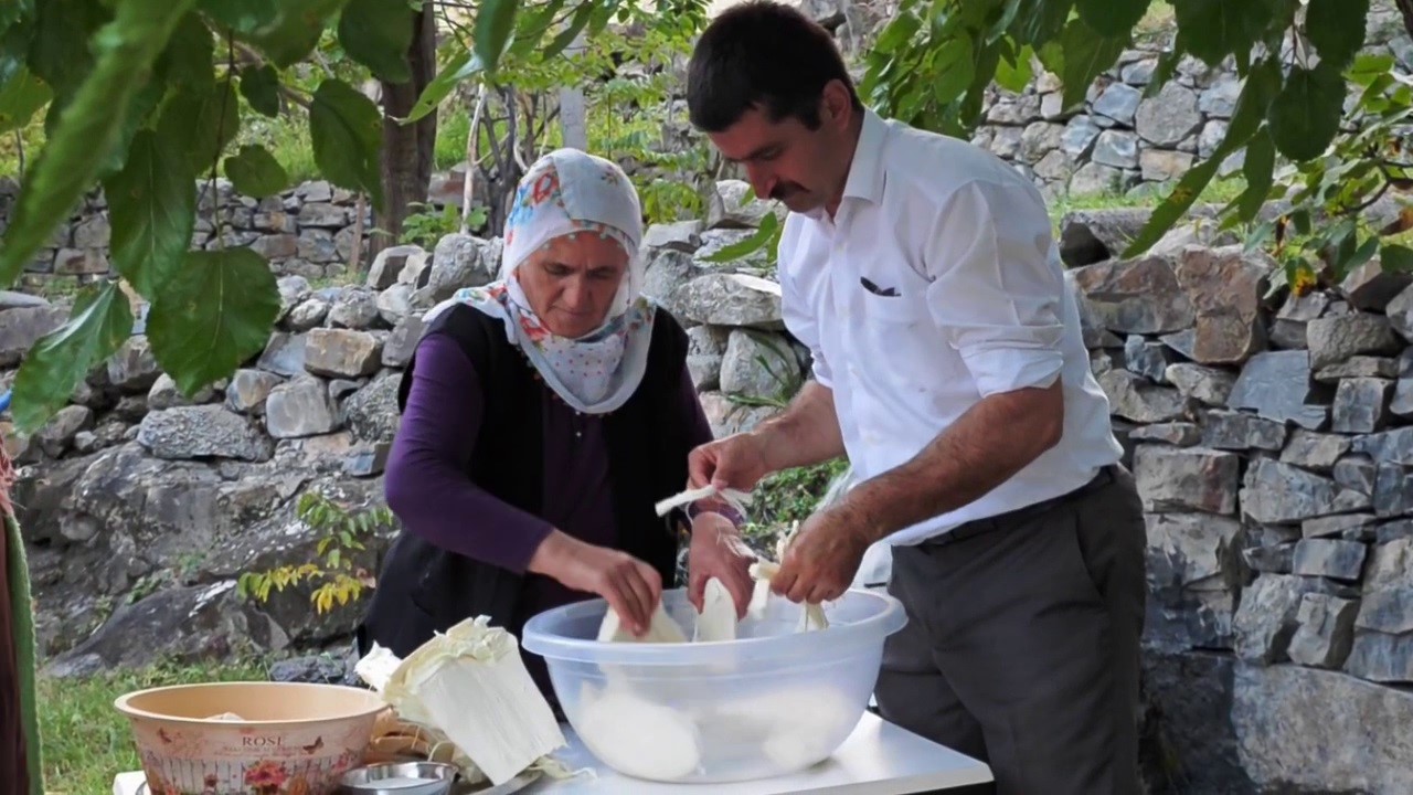 yayladan sofraya dogal antibiyotik erzurumun gogermis peyniri 5 ZhuHLeye
