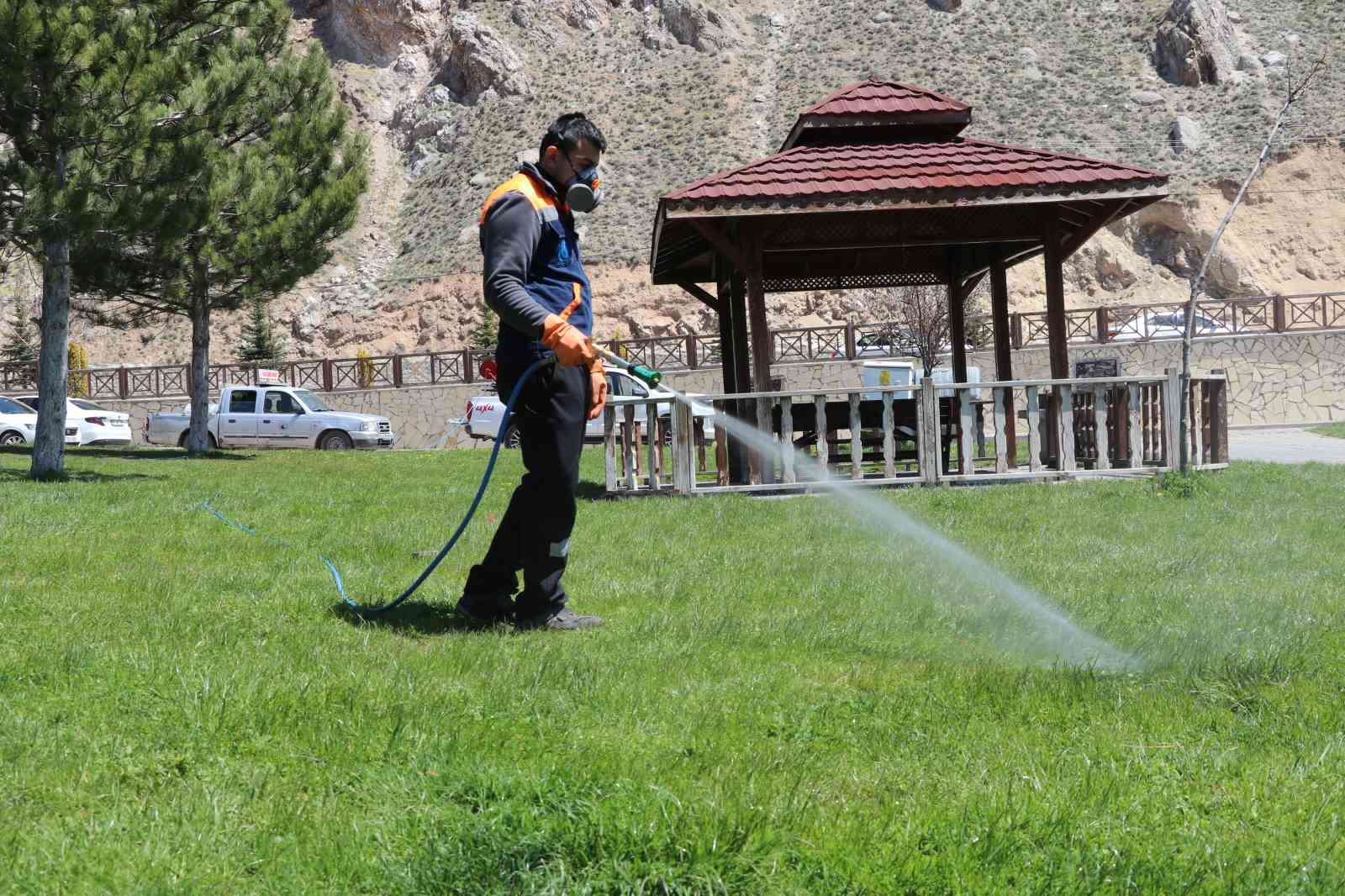 yaz aylarinin korkulu ruyasi kenelere karsi hem havadan ve hem karadan mucadele basladi 4
