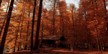 yedigoller-milli-parki-ziyaretci-akinina-ugradi-17QwznZN.jpg