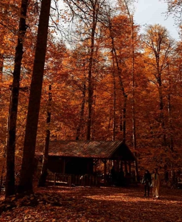 yedigoller-milli-parki-ziyaretci-akinina-ugradi-17QwznZN.jpg
