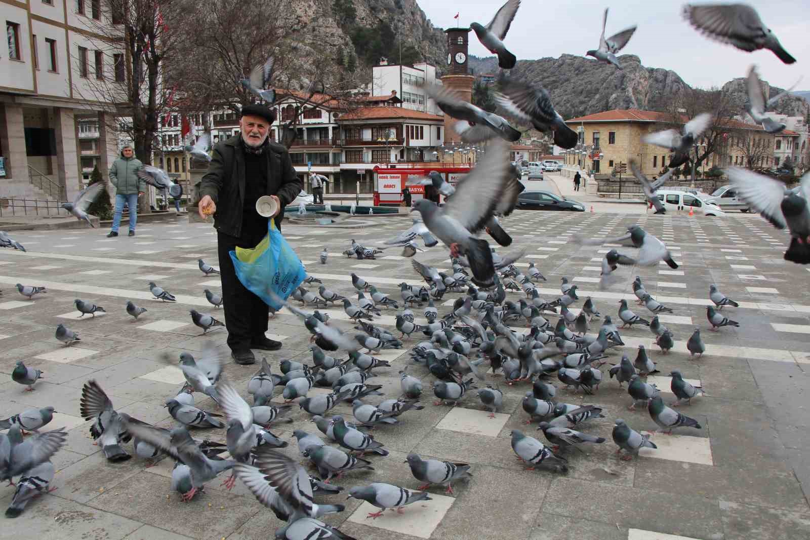 ’Yemci Dede’ 20 yıldır sokaklardaki güvercinleri beslemeden kahvaltı yapmıyor 5 yemci dede 20 yildir sokaklardaki guvercinleri beslemeden kahvalti yapmiyor 1 z6iRBRTt