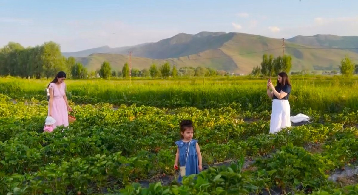 Yemek serbest, götürmek ücretli 15 yemek serbest goturmek ucretli 11 T1iCV9Ah