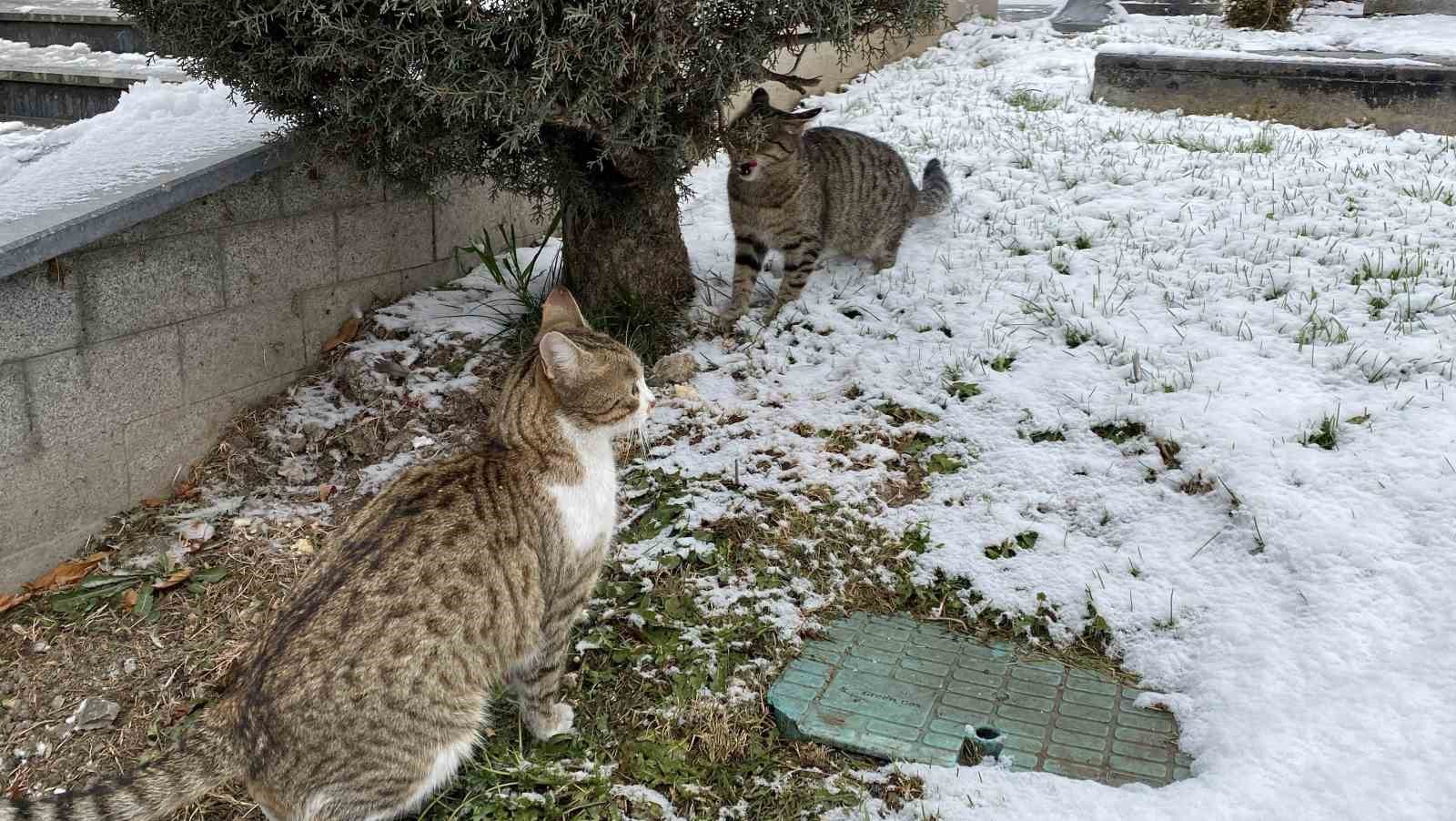 yeni yilin ilk gununde kar nesesi cocuklar sokaklara dokuldu 2