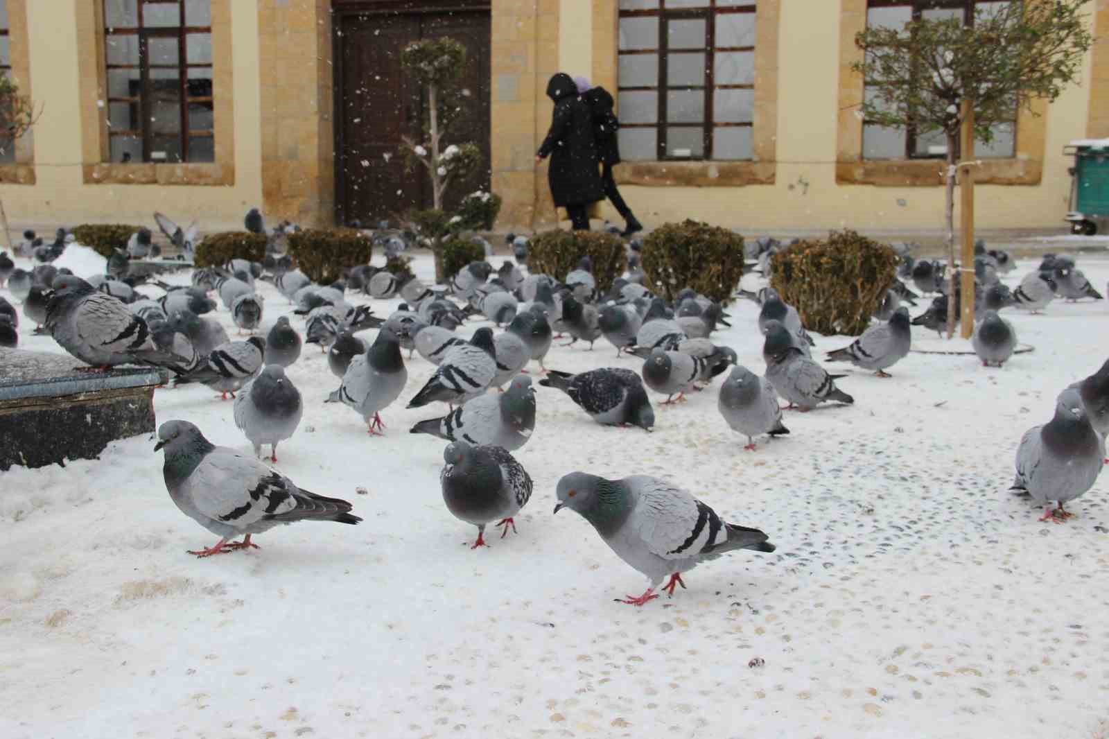 yeni yilin ilk gununde kar nesesi cocuklar sokaklara dokuldu 4 pH51KM3u