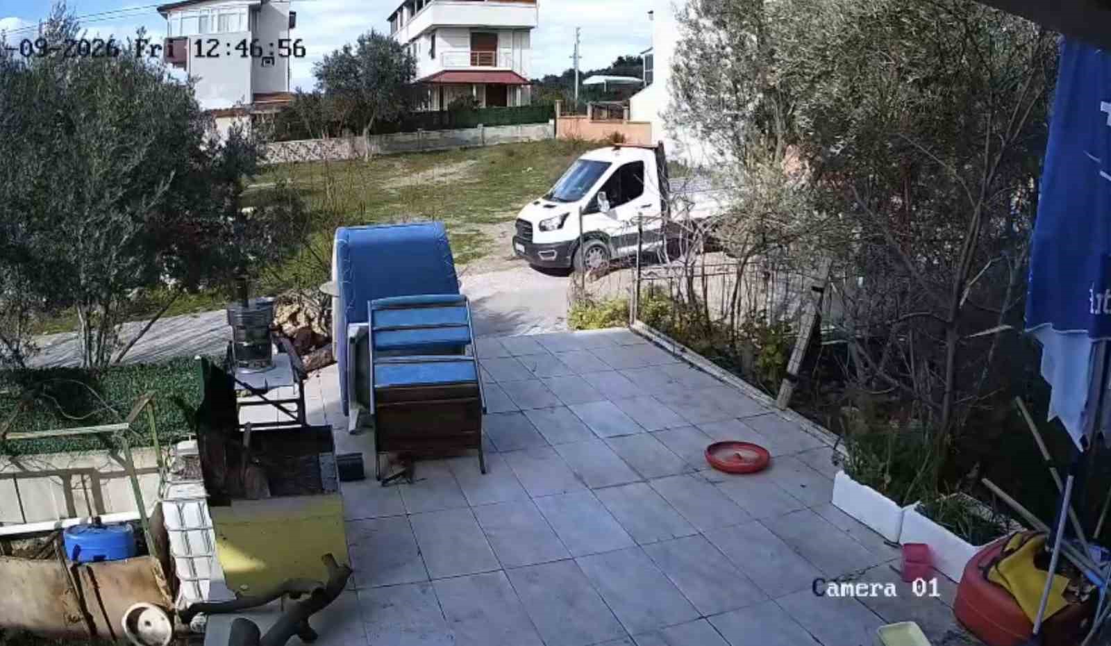 yerde yatan kopegi ezip yoluna devam etti 1 3KMVVNDJ