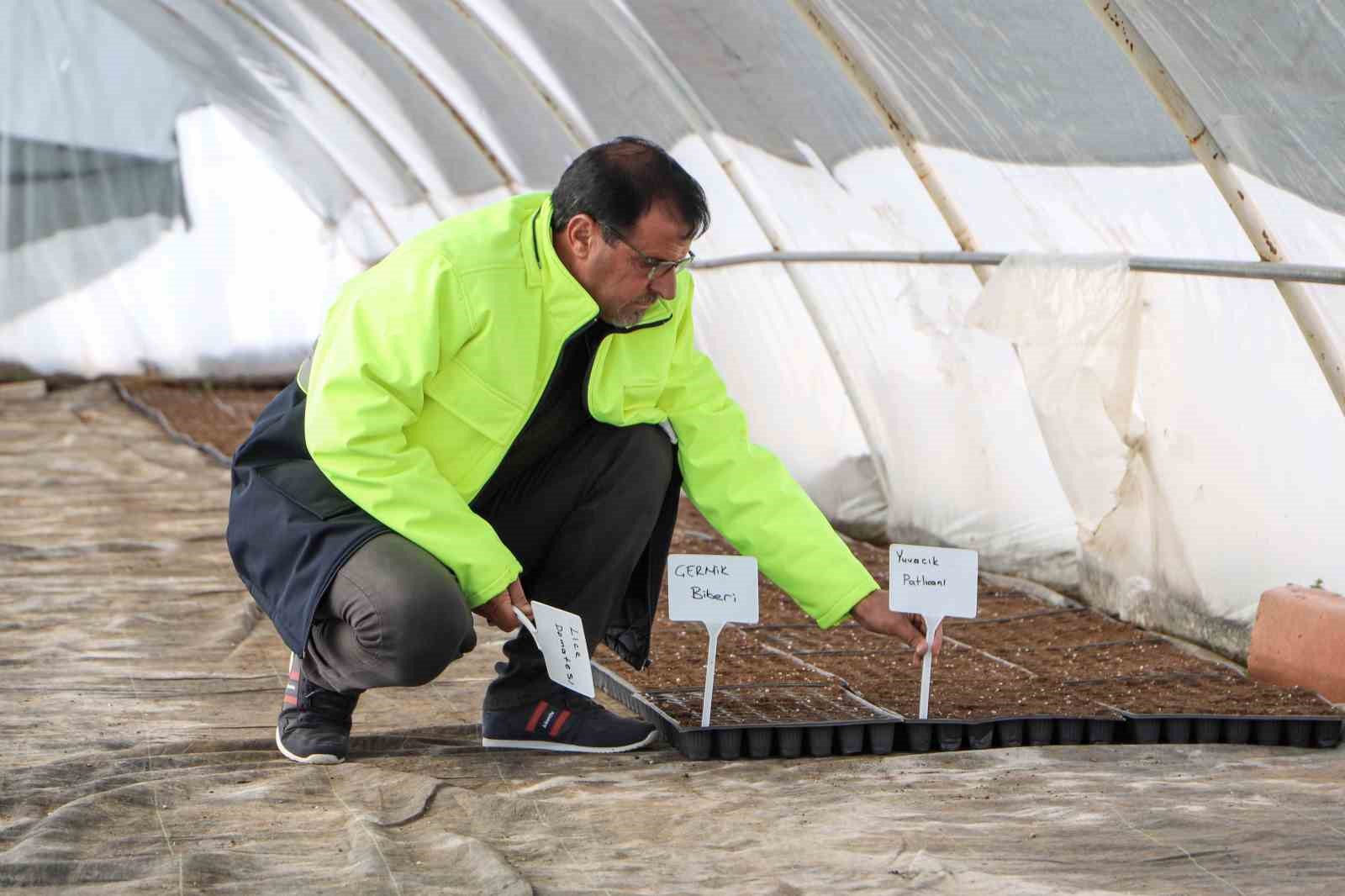 yerel tohum toprakla bulustu 300 bin fide ciftcilere ucretsiz dagitilacak 0