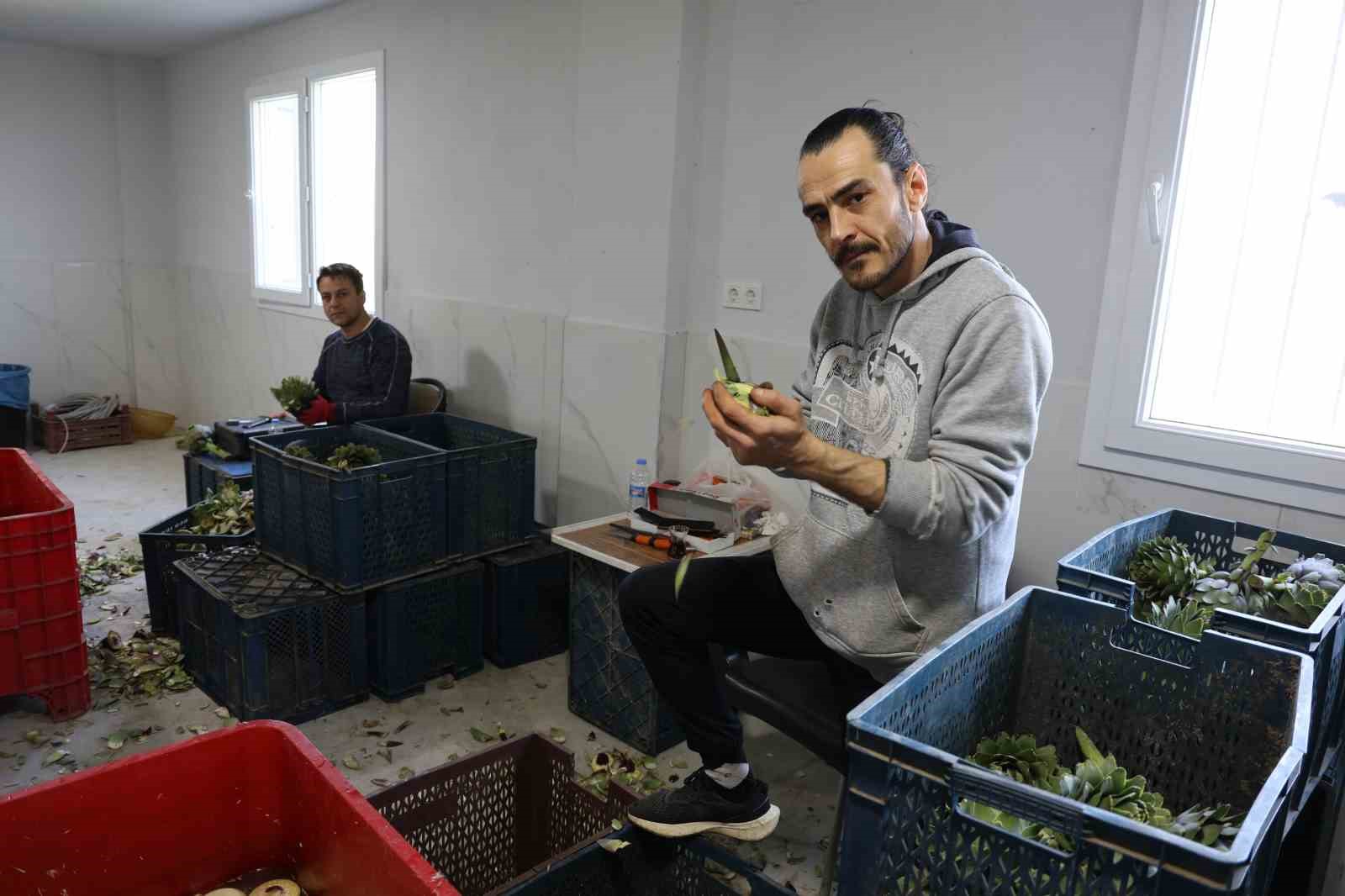 yesil elmas enginarin gorunmeyen mesaisi yuz gulduruyor 1