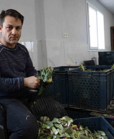 yesil-elmas-enginarin-gorunmeyen-mesaisi-yuz-gulduruyor-7z4aGFa4.jpg