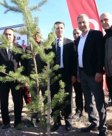 yesil-vatan-sehidi-bayram-eren-arslan-adina-sorgunda-hatira-ormani-olusturuldu-3wMLAvev.jpg