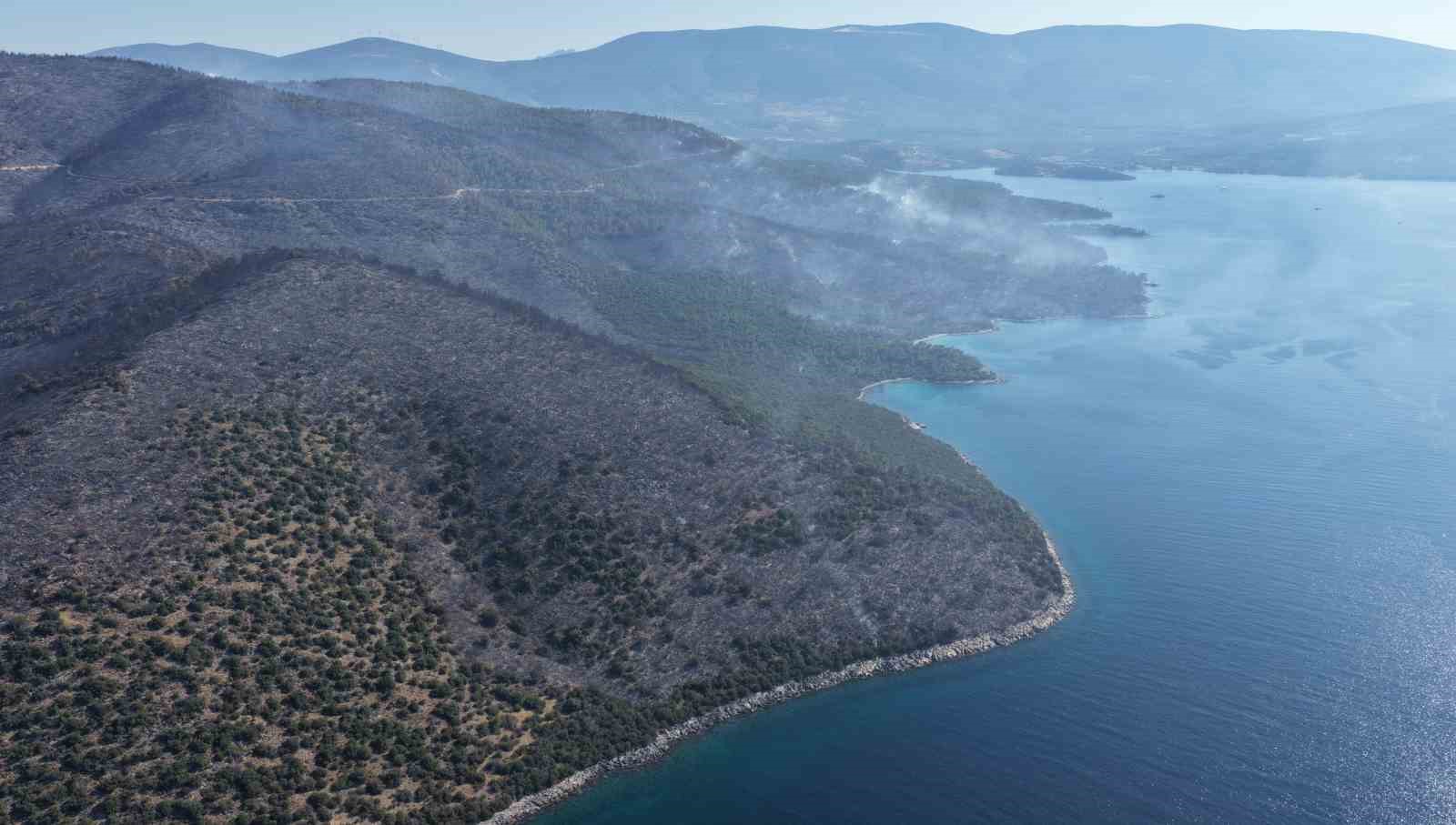 yesille maviyi orman yangini ayirdi 0 zDgthBzf