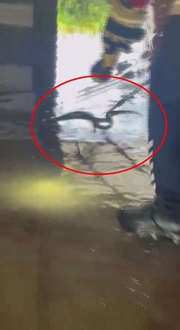 Yılan giren araca binmek isteyince korku dolu anlar yaşadı 5 yilan giren araca binmek isteyince korku dolu anlar yasadi 1 zApAmgSB