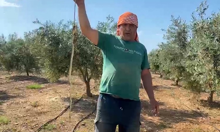 yilani-oldurdum-deyip-cektirdigi-video-pahaliya-mal-oldu-22-bin-tl-ceza-yedi-E5lpYqAX.jpg