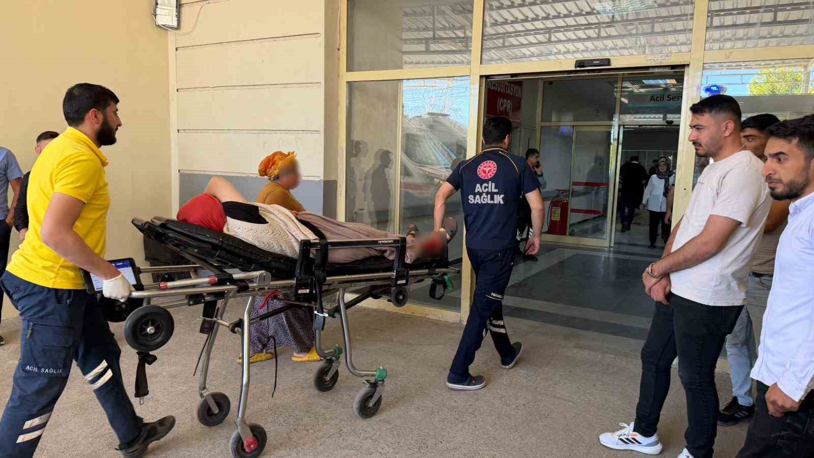 yilani vurmak isterken 5 kisiyi yaraladi 2 TzCOmPDe