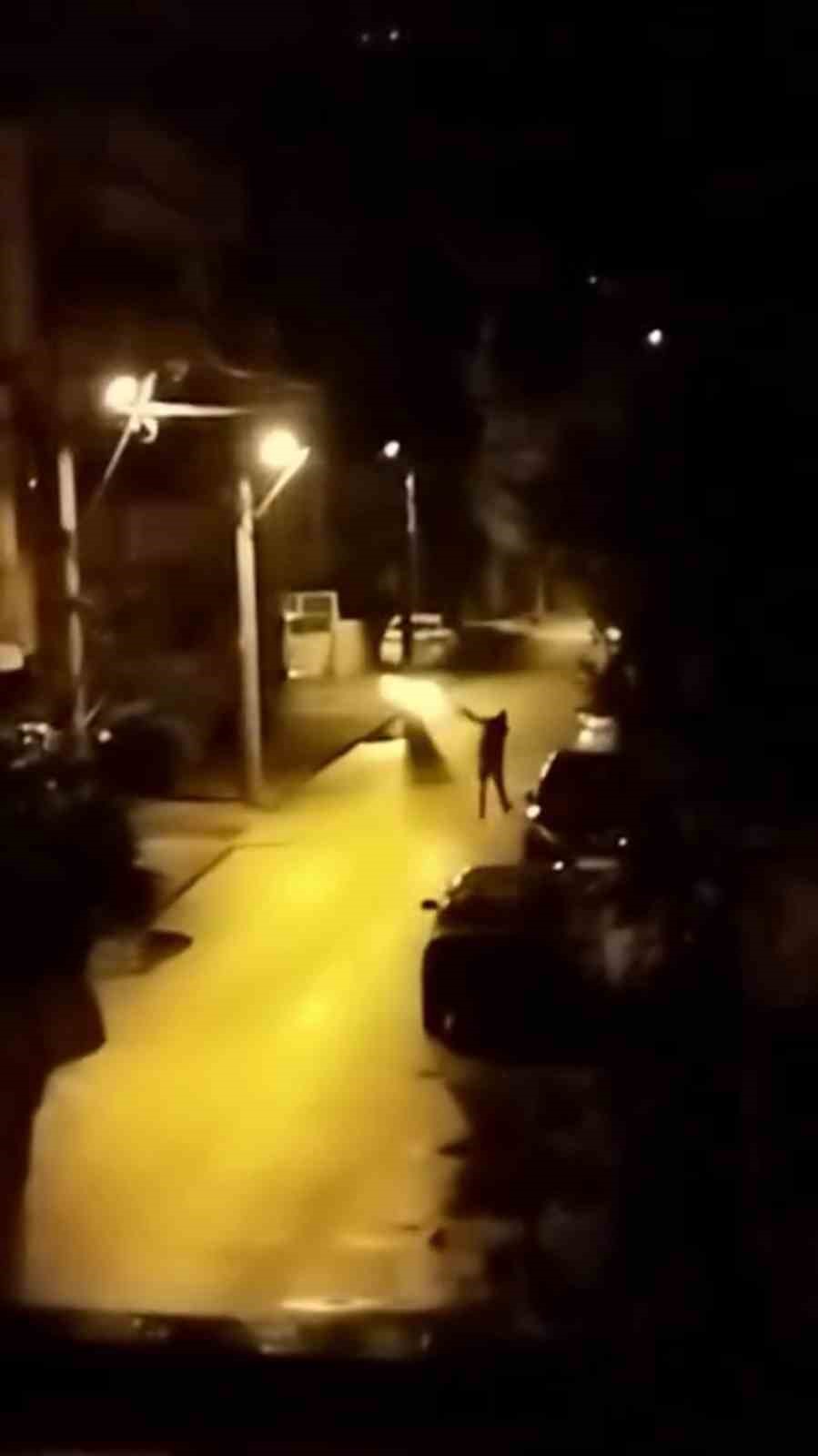 Yılbaşını kutlamak için evlerin bulunduğu sokakta havaya ateş açan şahıs yaptığıyla hayrete düşürdü 5 yilbasini kutlamak icin evlerin bulundugu sokakta havaya ates acan sahis yaptigiyla hayrete dusurdu 1