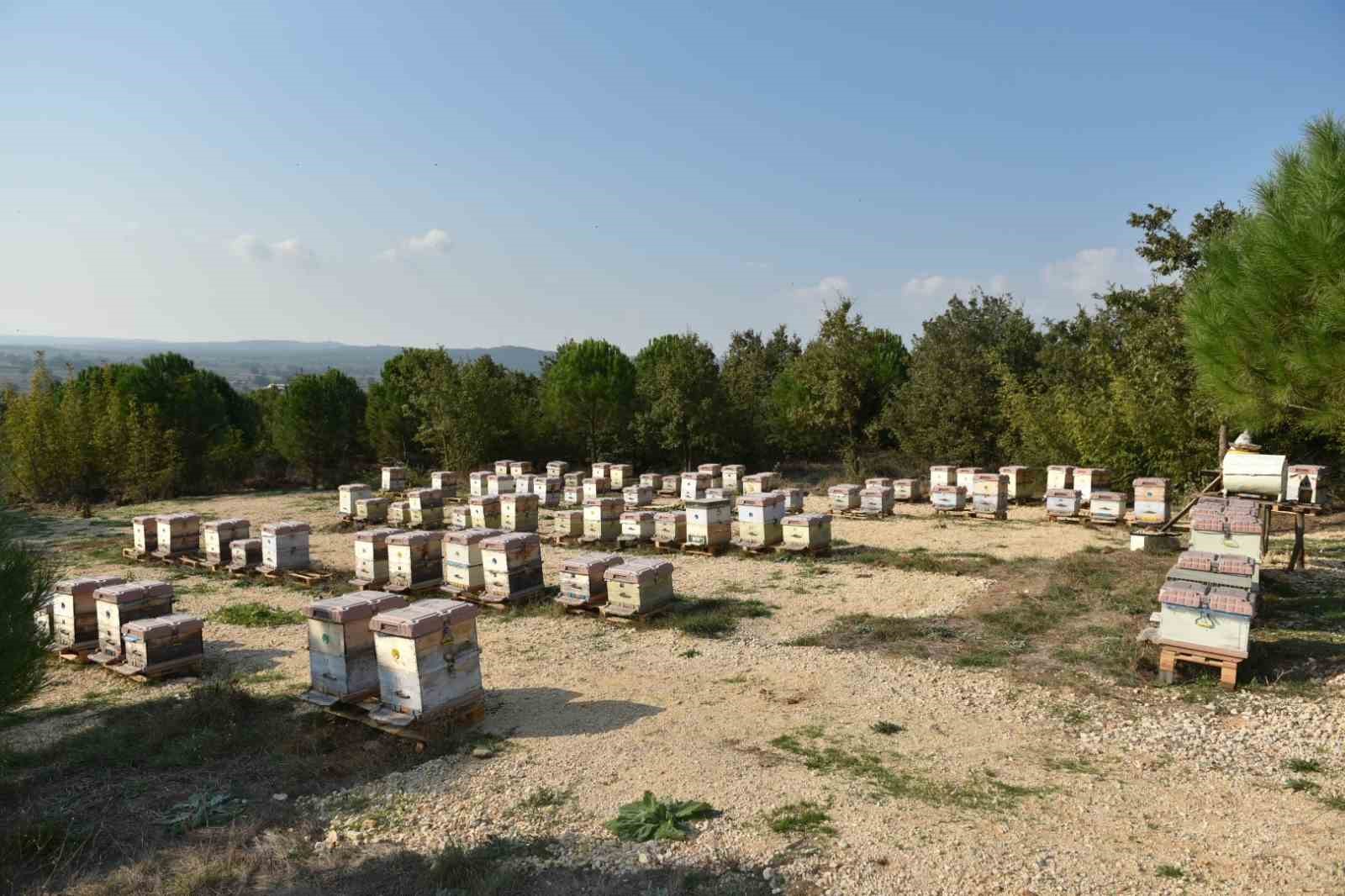 yilda 10 ton uretiliyor 100 ton sahtesi satiliyor 2 sKJ6ZdQa