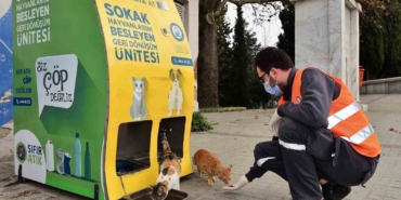 yildirim-belediyesinden-sokak-hayvanlarina-sicak-yuva-HiaqgEQF.jpg