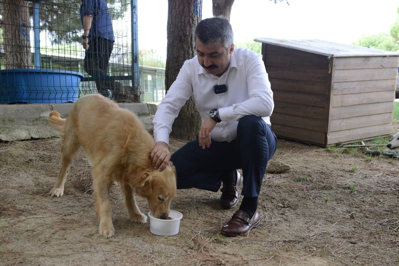 yildirimda gida israfina gecit yok 2