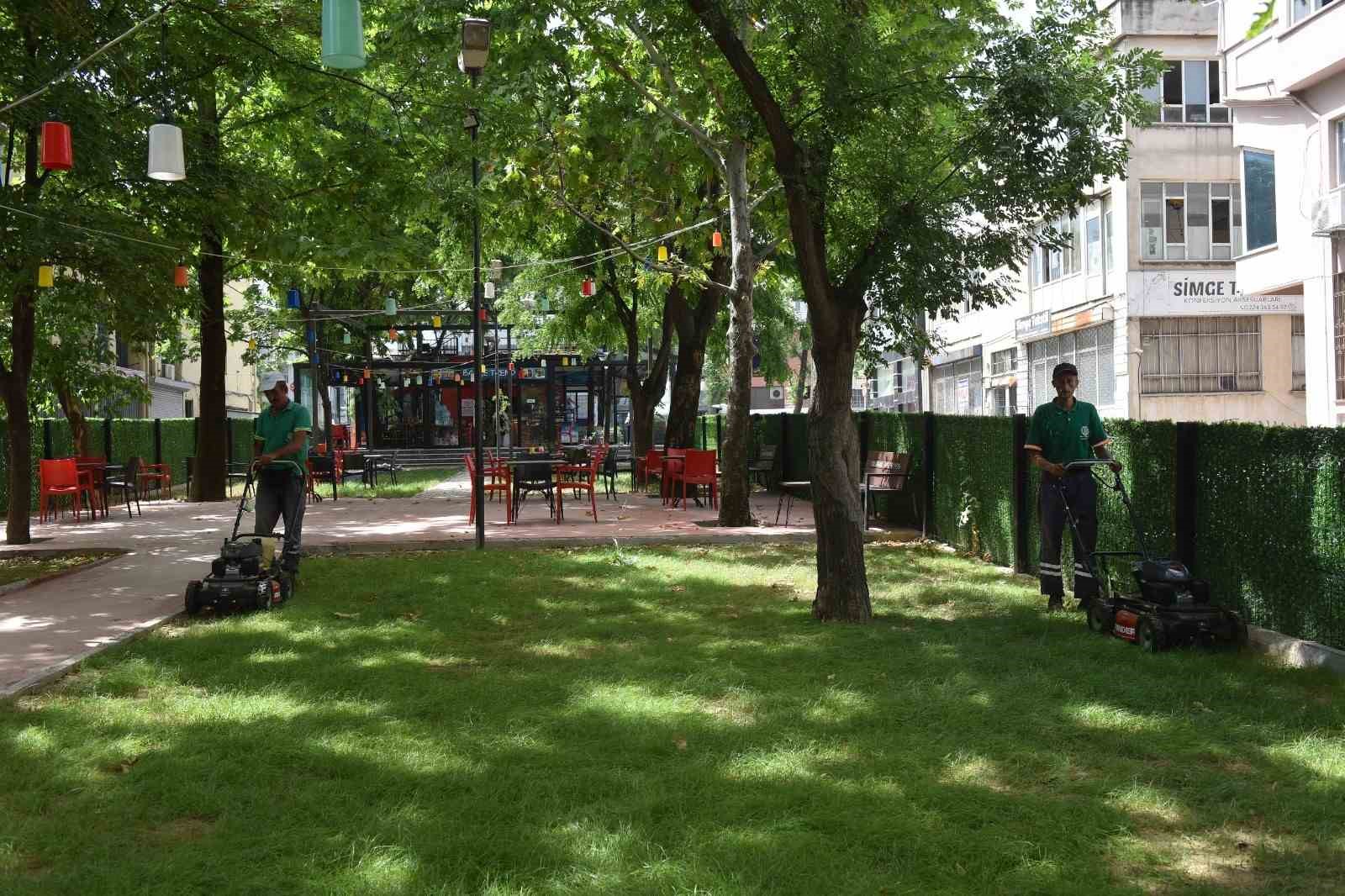 yildirimin yesil kimligi gucleniyor 4