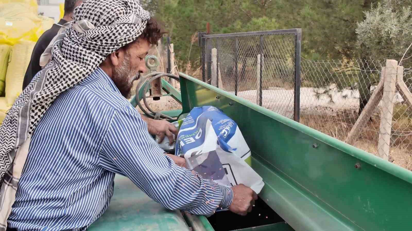 yildiz tarim mardinde yerli tohum uretimini guclendirip ihracatta hedef buyutuyor 1 HwwceztJ