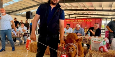 yilin-en-guzel-buzagisi-40-gunluk-buzagi-oldu-MispvdW4.jpg
