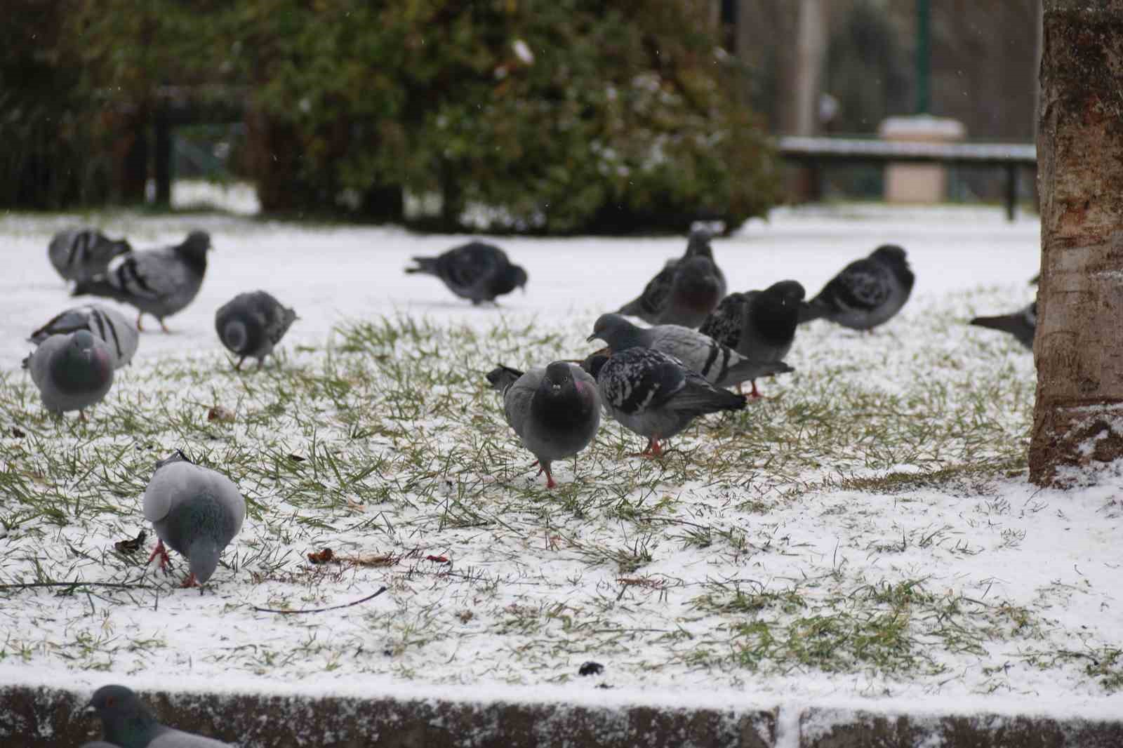 yilin son kari eskisehiri beyaza burudu 4 VurPpuWb