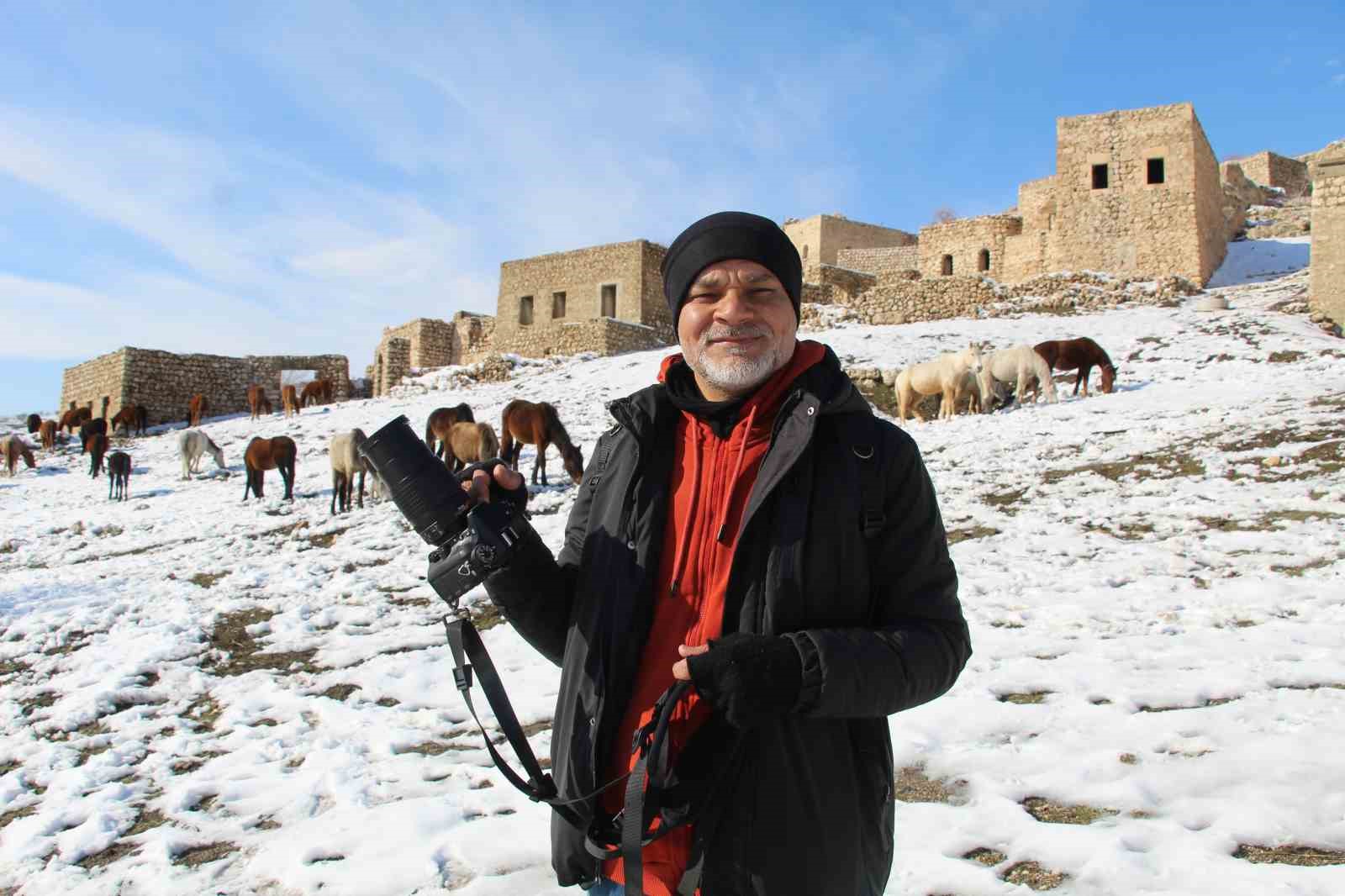 yilki atlari fotografcilarin gozdesi oldu 10 73eu2KKI