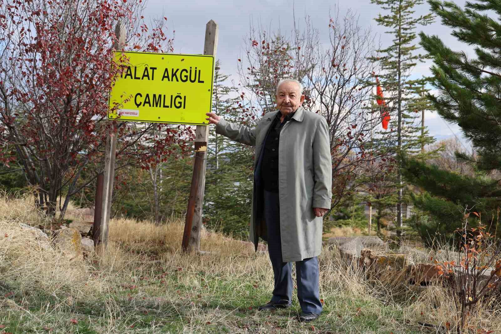 yillar once golgelenecek agac yoktu simdi ise ormanlik alana donustu 8 EQeORNWJ