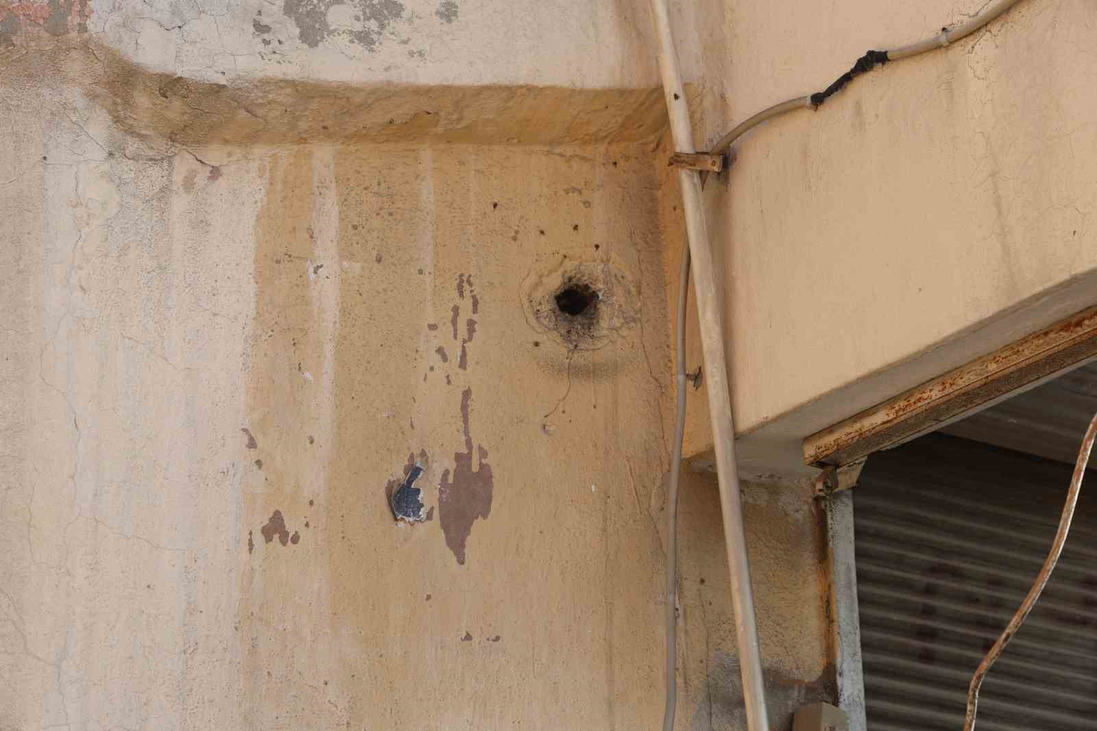 yillardir mahalleyi mesken tutan arilari cocuklarin attigi tas kizdirdi 2 KPjwUut7