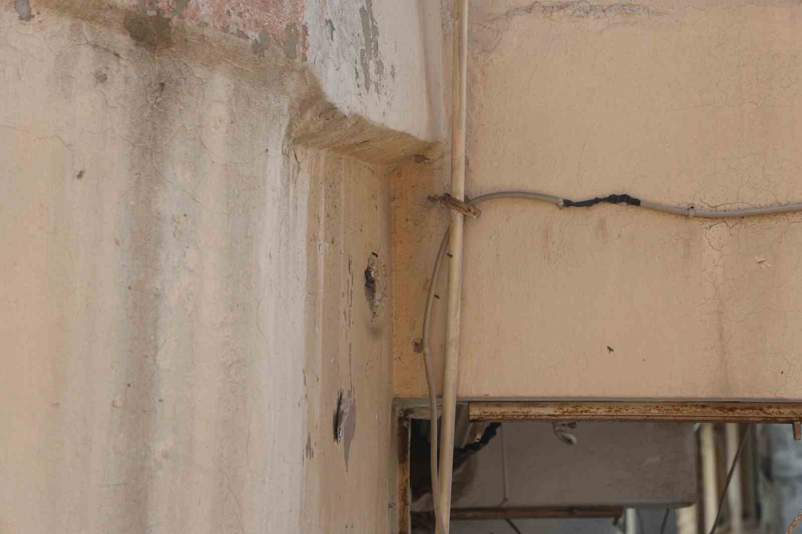 yillardir mahalleyi mesken tutan arilari cocuklarin attigi tas kizdirdi 3 tTJJWvWk