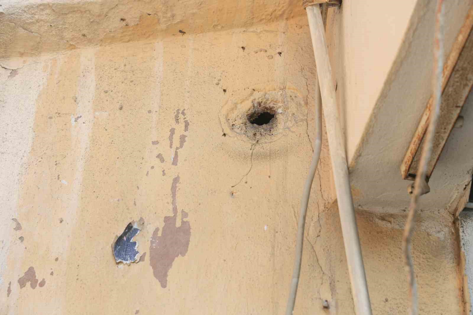 yillardir mahalleyi mesken tutan arilari cocuklarin attigi tas kizdirdi 4 vcmhPglL