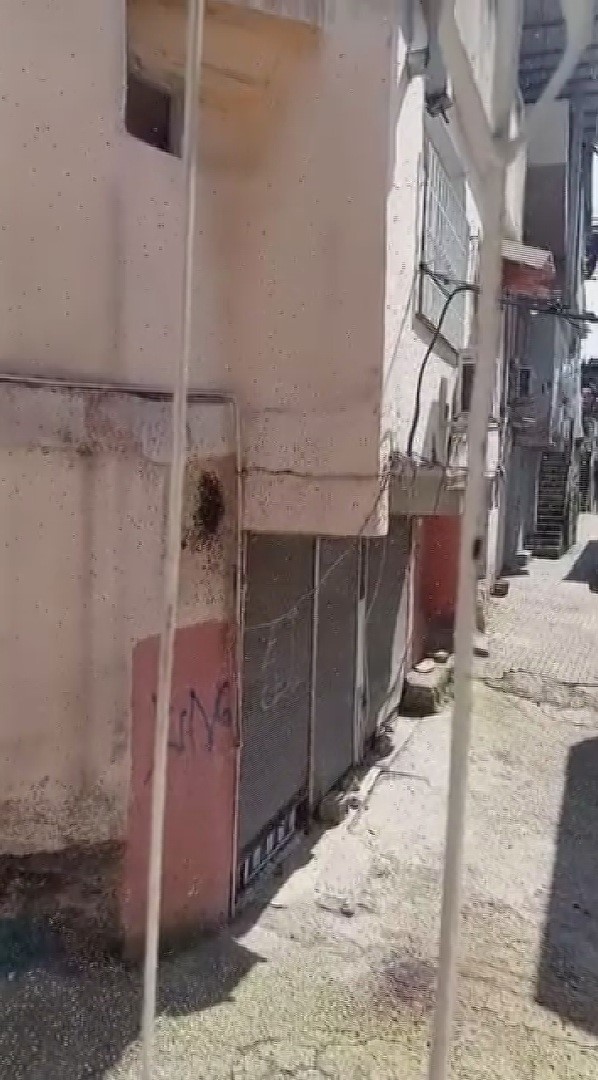 yillardir mahalleyi mesken tutan arilari cocuklarin attigi tas kizdirdi 6 vfbPdLL9