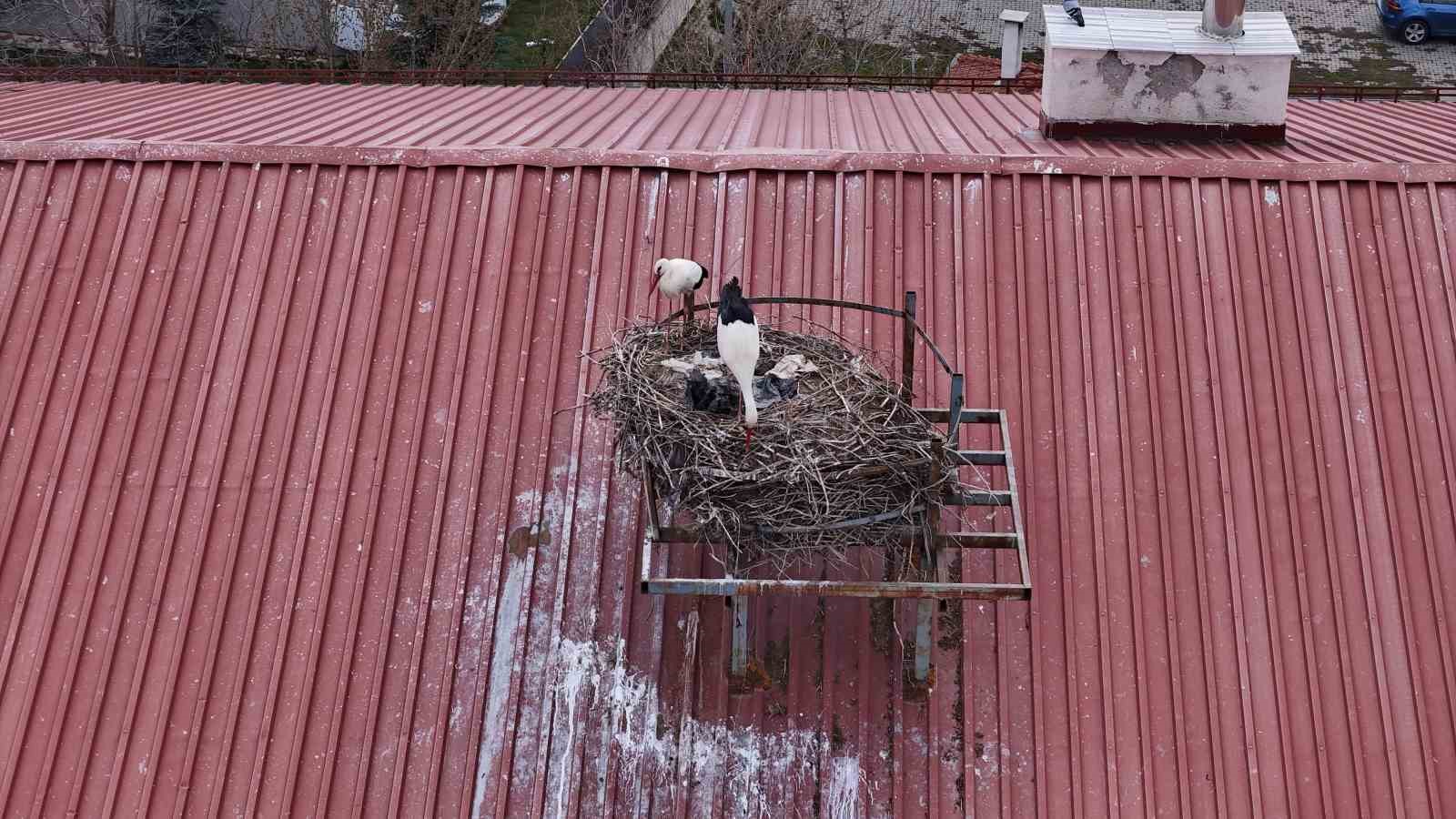 yillardir suren gelenek bozulmadi sivasin leylekli okulu misafirlerine kavustu 2 ubnUnVds