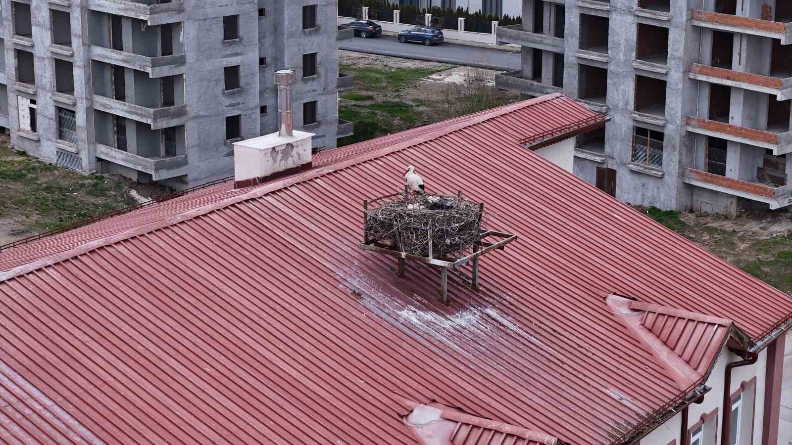 yillardir suren gelenek bozulmadi sivasin leylekli okulu misafirlerine kavustu 3 8IQqpyFd