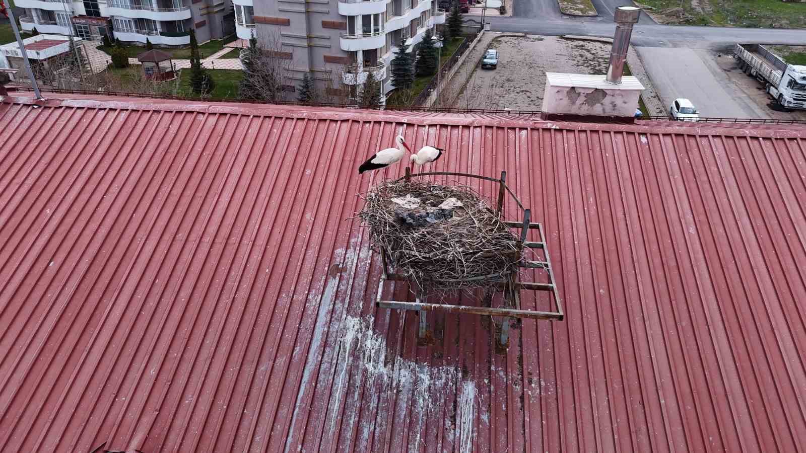 yillardir suren gelenek bozulmadi sivasin leylekli okulu misafirlerine kavustu 4 BfInBtFw