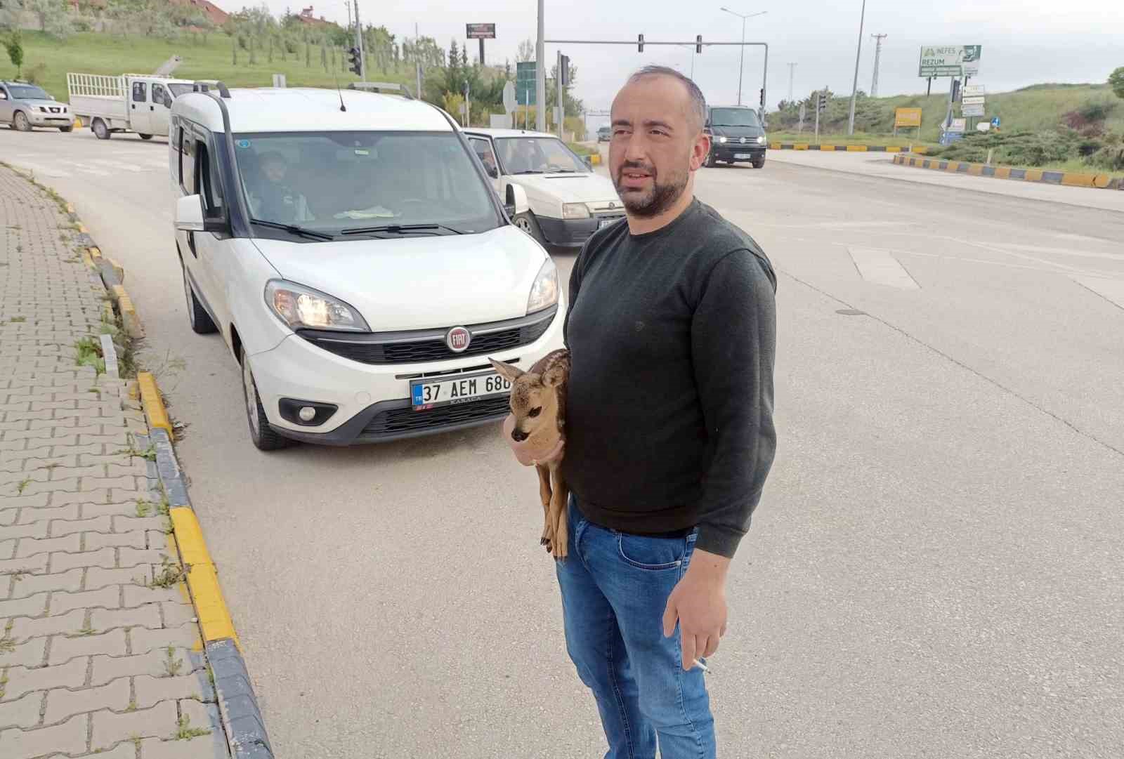 Yol kenarında yaralı halde bulunan yavru karaca, koruma altına alındı 6 yol kenarinda yarali halde bulunan yavru karaca koruma altina alindi 2 Xum5pduV