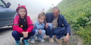 yol-kenarinda-yarali-halde-bulunan-yavru-karaca-koruma-altina-alindi-cZhtIdjK.jpg