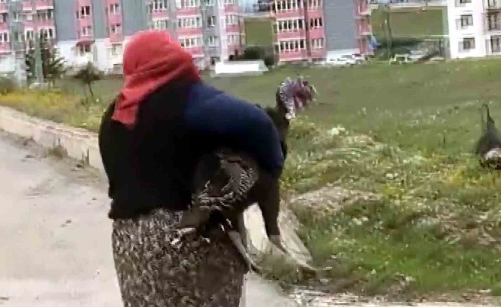 yol ortasindaki hindi kavgasi trafigi durdurdu 1 LDjzCC9i